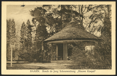 16805 Gezicht op de Blauwe Koepel in het bos van De Jong Schouwenburg te Baarn.